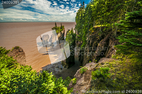 Image of Hopewell Rocks