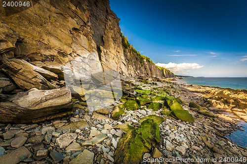 Image of Cape Enrage