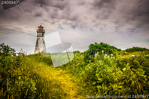 Image of Cape Jourimain Lighthouse