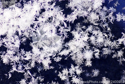 Image of Snowflakes background