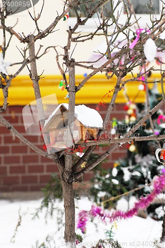 Image of Birds house on tree