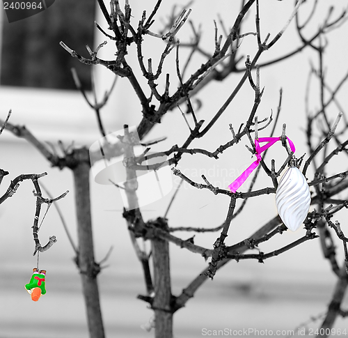 Image of Christmas decoration on branch