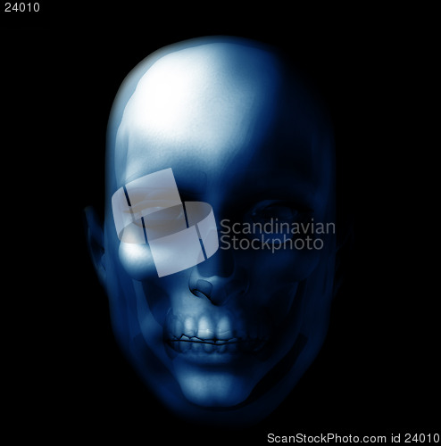 Image of Skull 5