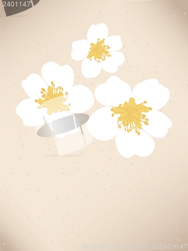 Image of Blossom cherry - Greeting Card