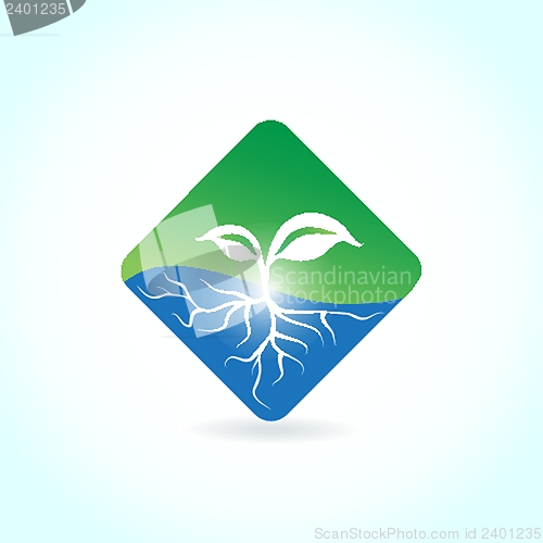 Image of Green ecological banner with green leaves