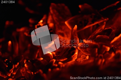 Image of fire flame background