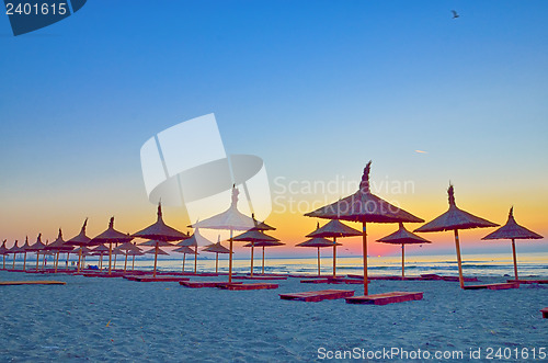 Image of Sunrise under parasol on the beach