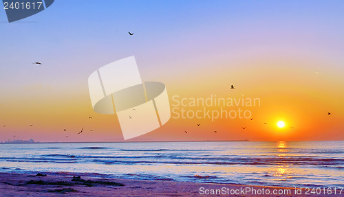 Image of Beautiful sunrise on Black Sea beach