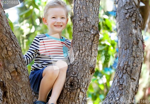 Image of boy climbing the tree