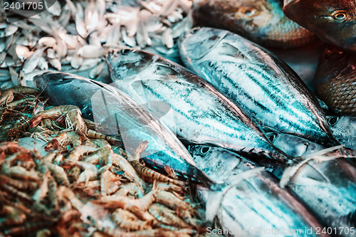 Image of Fish, shrimp and other seafood on the market