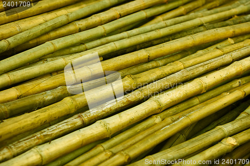 Image of Bamboo trunks prepared for building