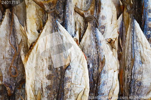 Image of Dried tuna on the market in Sri Lanka
