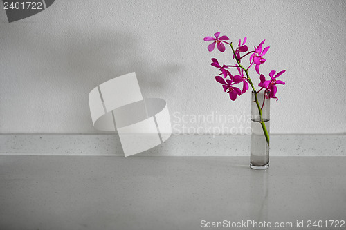 Image of Orchid flowers in a simple vase on white table