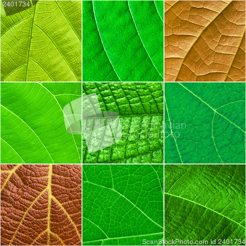 Image of Green leafs square collage - seamless pattern