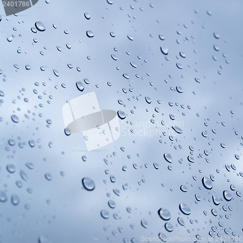 Image of Rain droplets