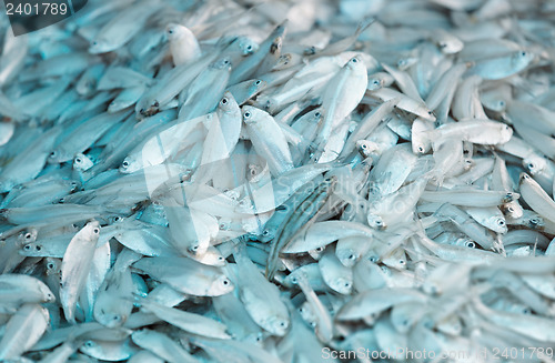 Image of Fresh fish at the seafood asian market