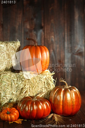 Image of Fall Themed Scene With Pumpkins on Wood 