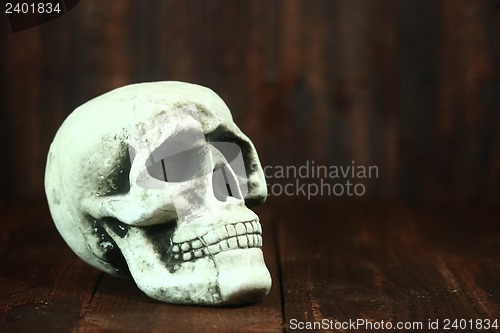 Image of Skull on Wood Grunge Rustick Background