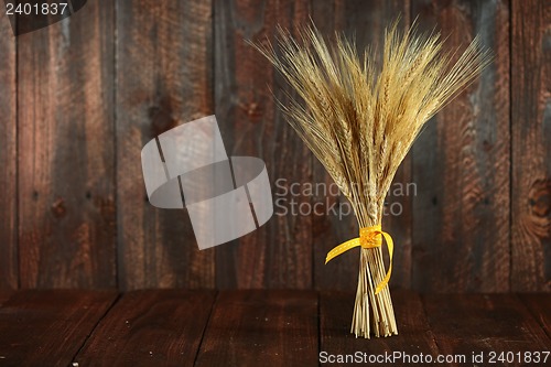 Image of Wheat Grain Stalks on Grunge Wooden Background