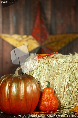 Image of Fall Themed Scene With Pumpkins on Wood 