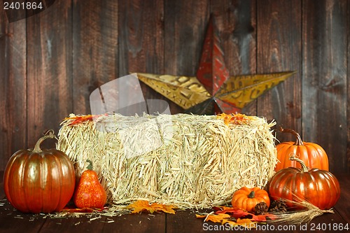 Image of Fall Themed Scene With Pumpkins on Wood 