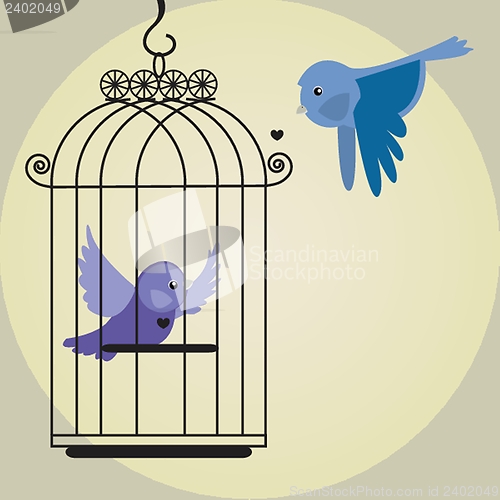 Image of Cute bird in birdcage
