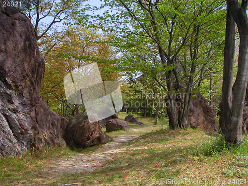 Image of Path in the garden