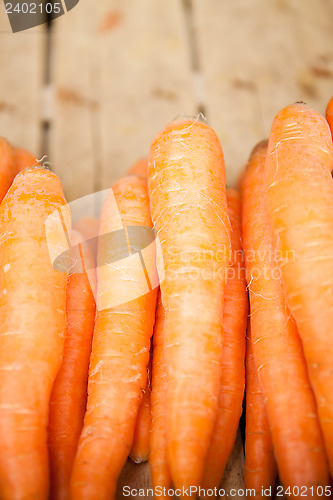 Image of Fresh carrots