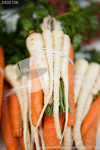 Image of Fresh carrots