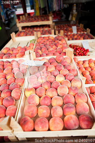 Image of Fresh peaches