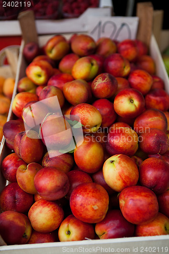 Image of Fresh apples