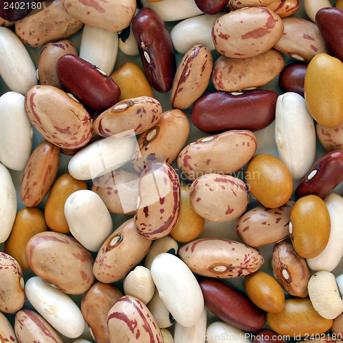 Image of Beans salad