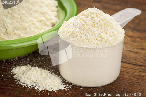 Image of whey protein powder