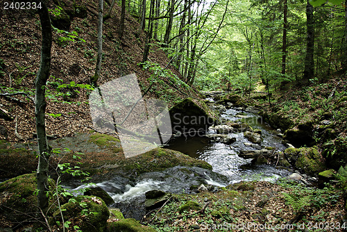 Image of Mountain Creek