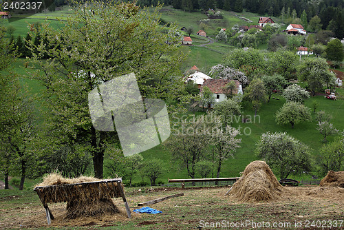 Image of Mountain Village