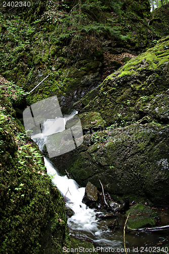 Image of Mountain Creek