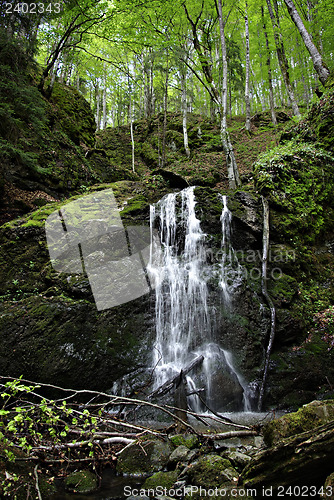 Image of Mountain Creek