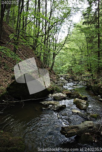 Image of Mountain Creek