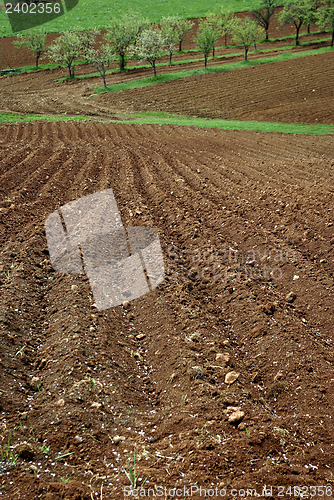 Image of Arable Land