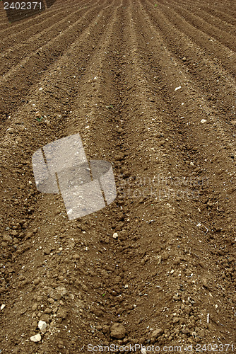 Image of Arable Land