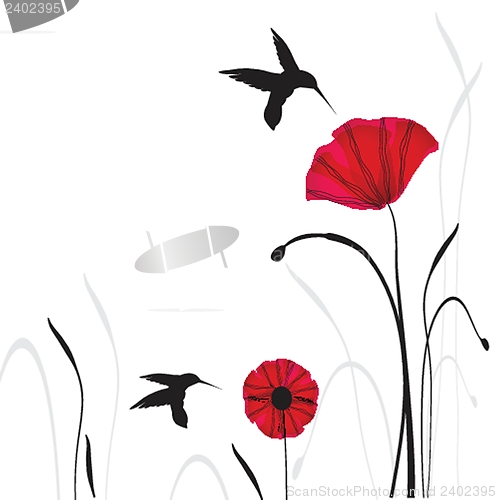 Image of Spring card with beauty poppies.