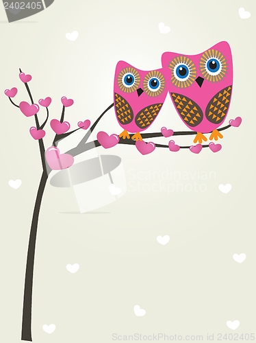 Image of Two cute owls on the tree branch