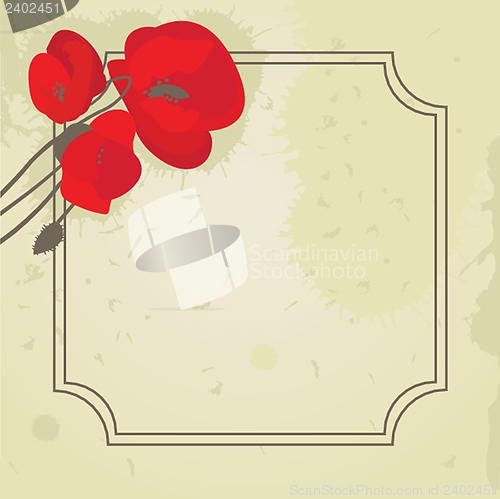 Image of Spring card with beauty poppies.