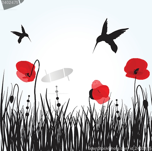 Image of Spring card with beauty poppies.