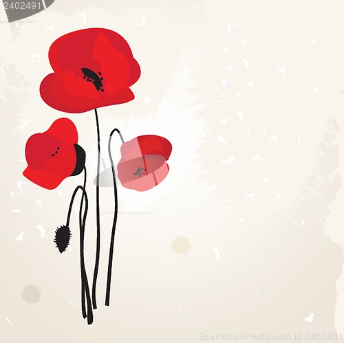 Image of Spring card with beauty poppies.