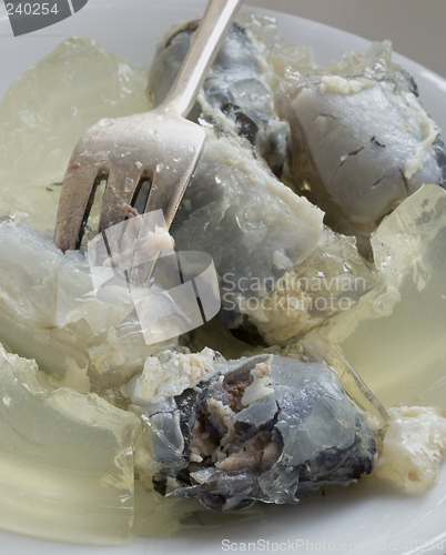 Image of Clloseup jellied eels