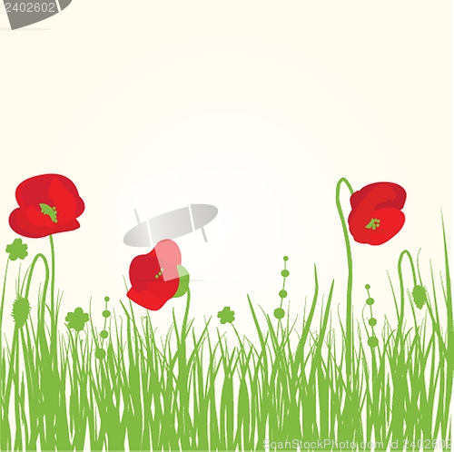 Image of Spring card with beauty poppies.