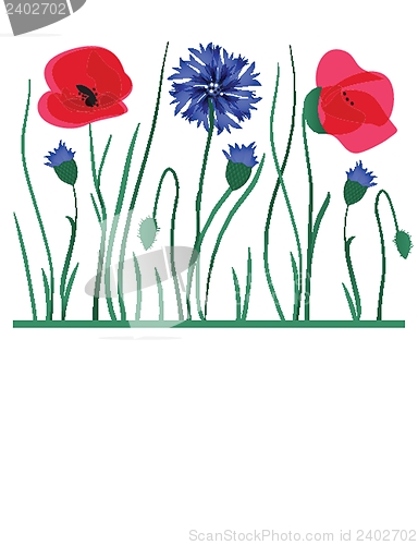 Image of Spring card with beauty poppies.