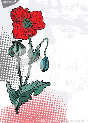 Image of Spring card with beauty poppies.