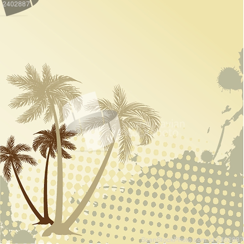 Image of Summer background with grunge beach palms